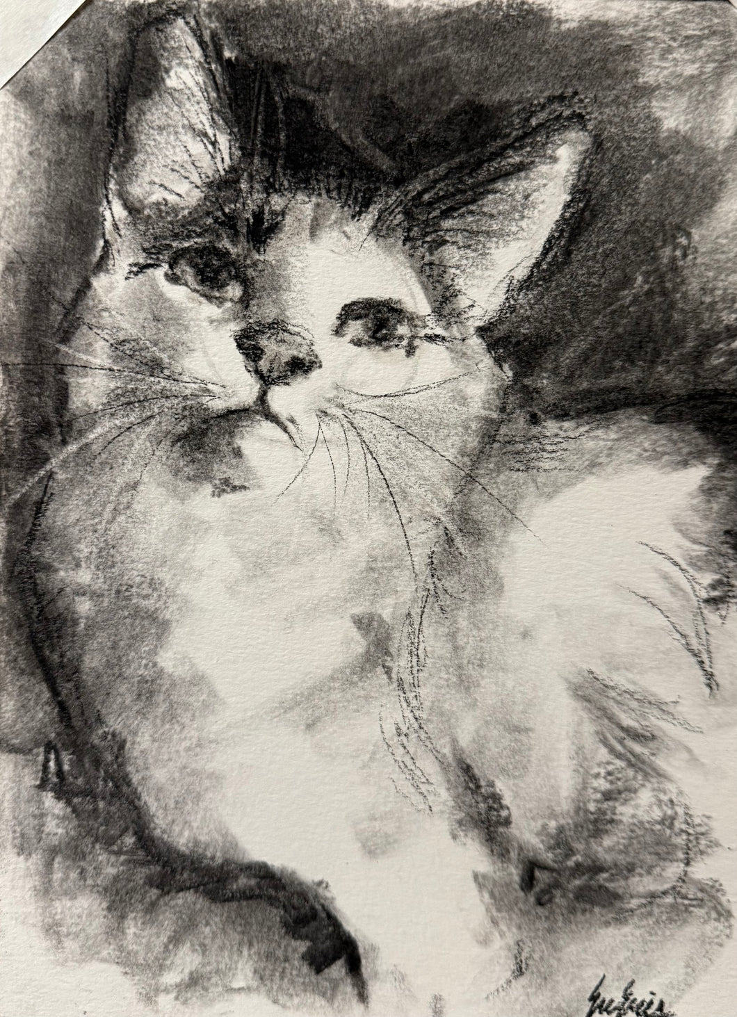 Custom Charcoal Portrait