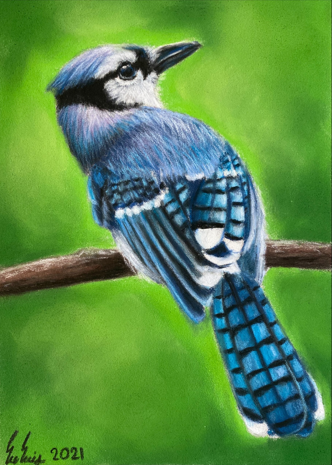 “Blue Jay”