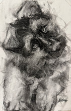 Load image into Gallery viewer, Custom Charcoal Portrait
