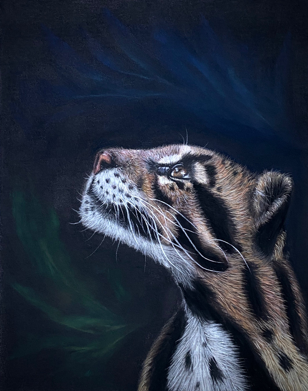 Star Gazer (Giclee Print)