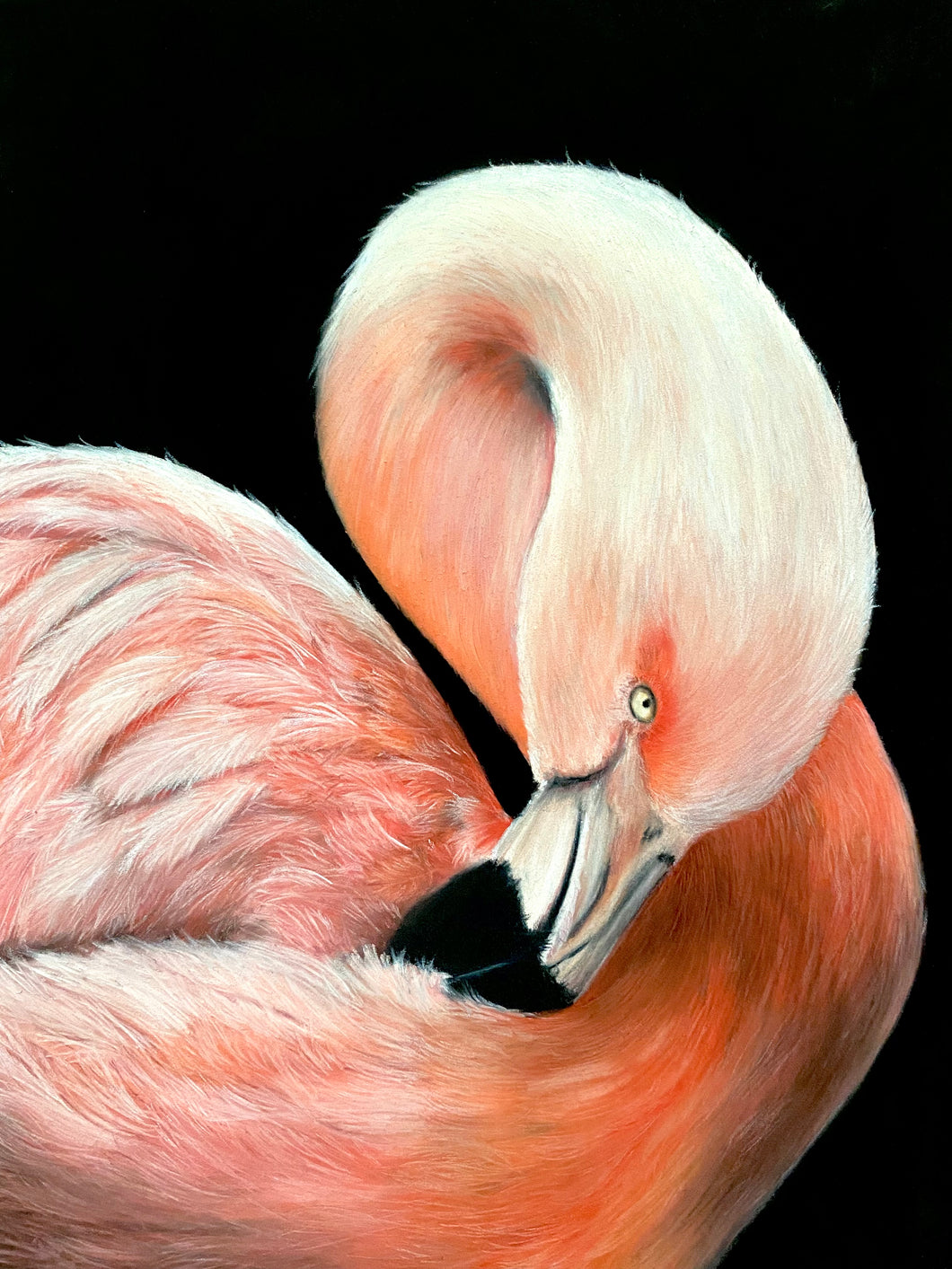 Giclee Print: Preening
