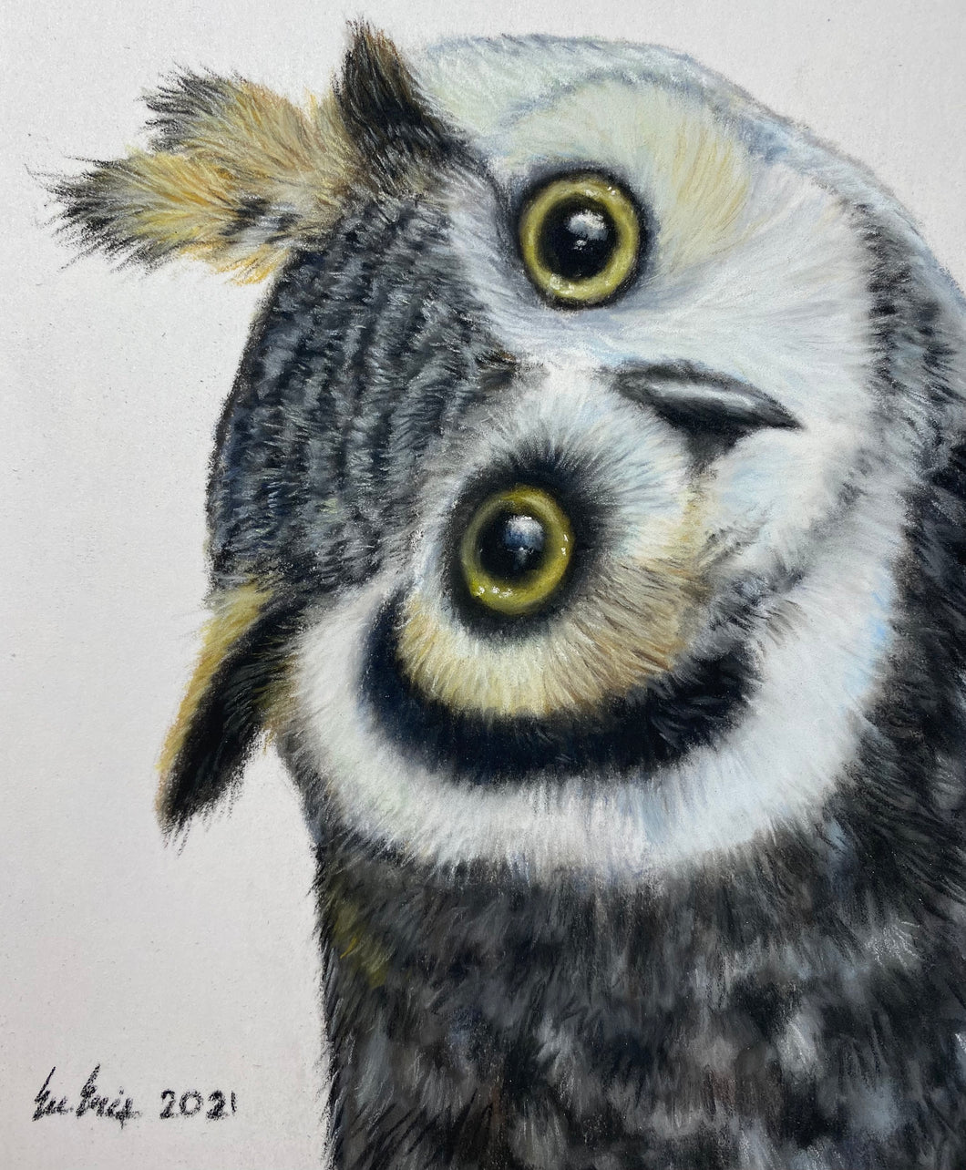 Giclee Print: William the Owl