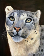 Load image into Gallery viewer, “Himalayan Royalty”
