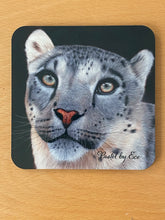 Load image into Gallery viewer, Coasters (set of 4)
