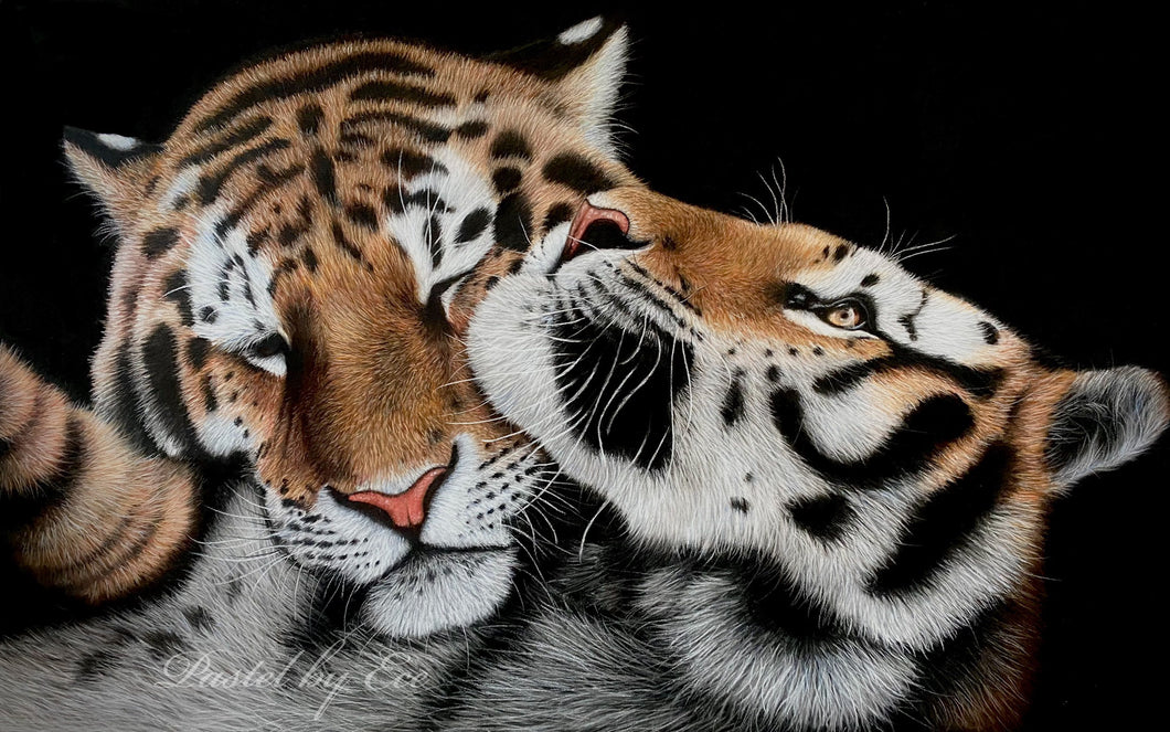 Giclee Print: Bonded