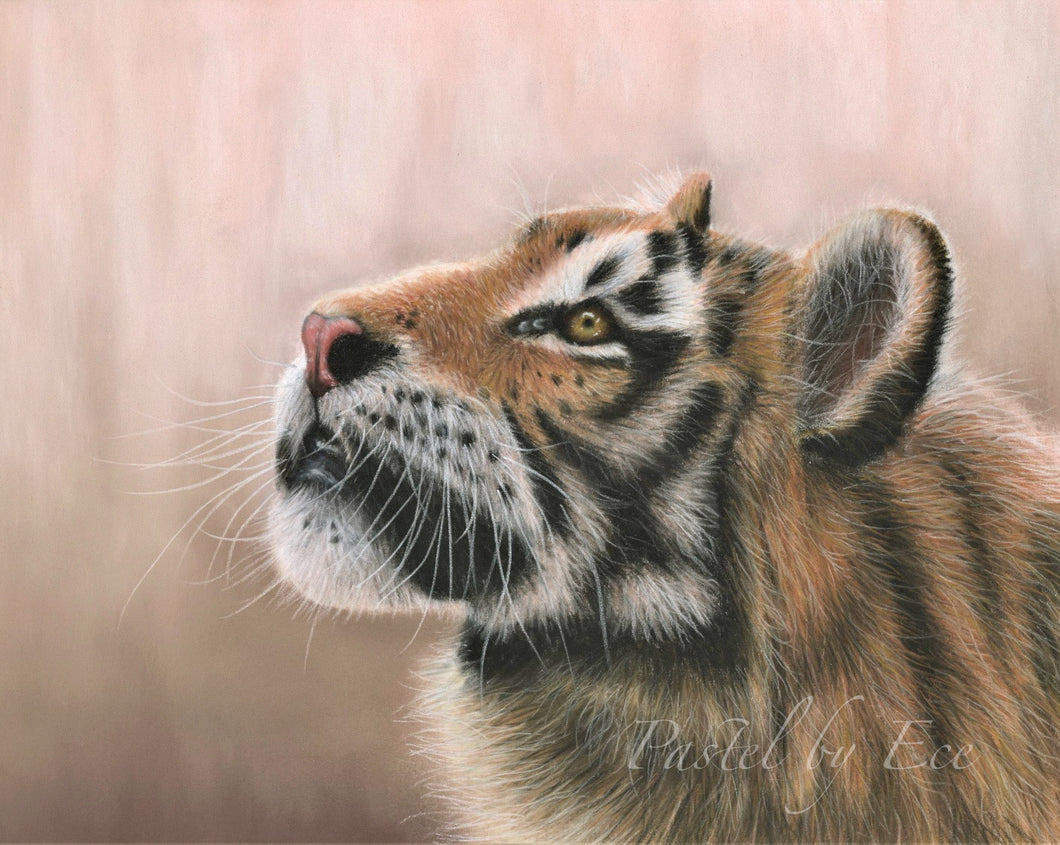 Giclee Print: Wonder