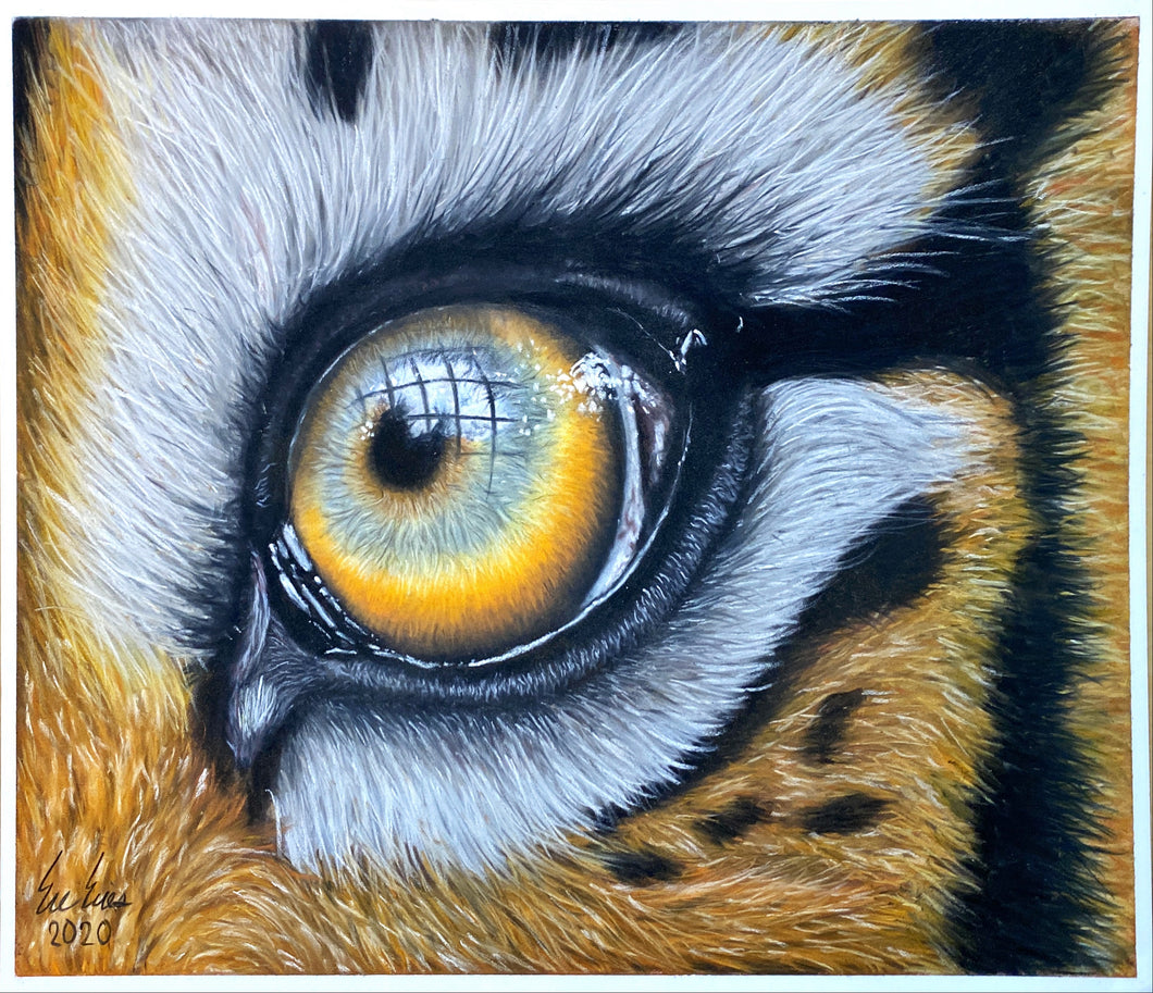 “Eye of the Tiger”