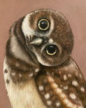 Load image into Gallery viewer, “Owlet”
