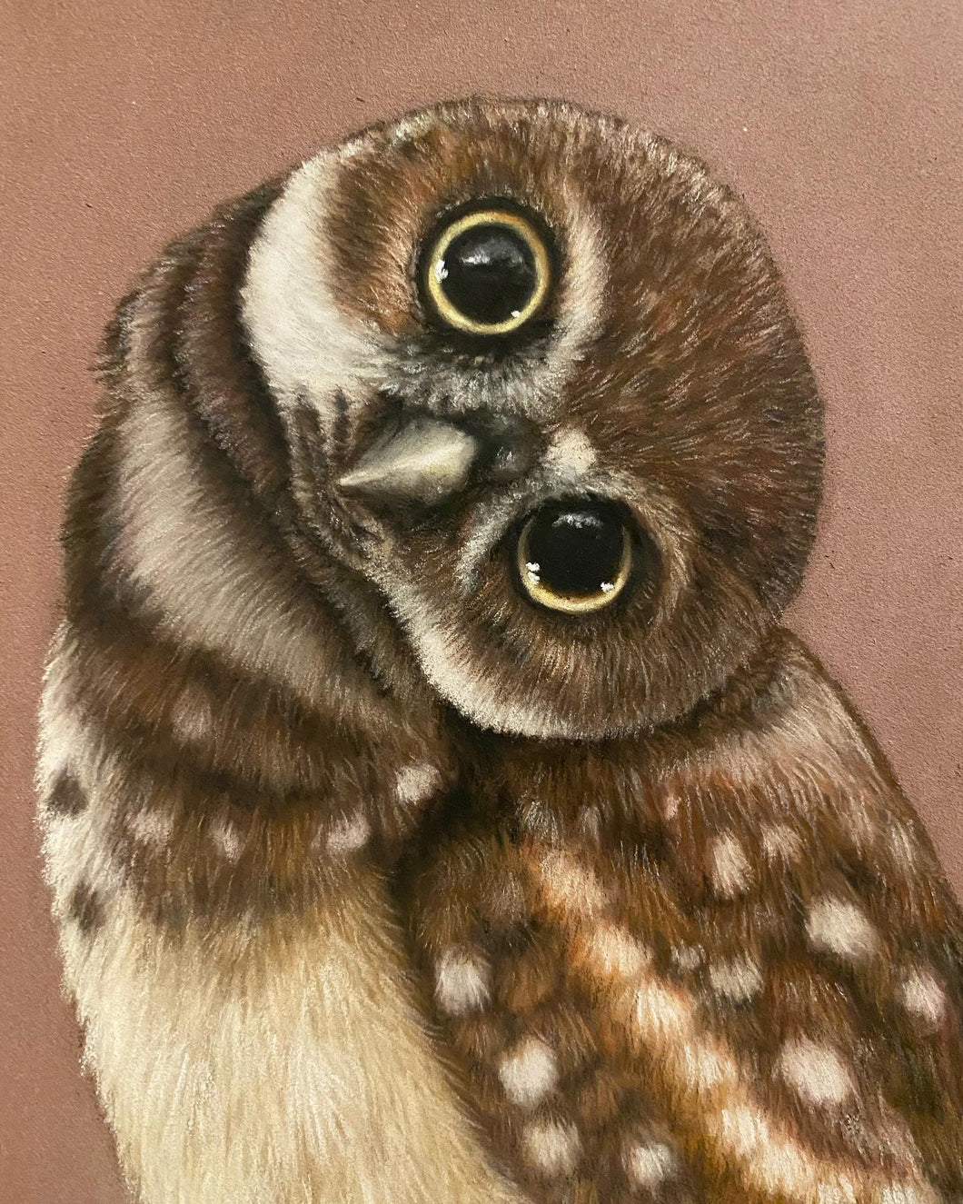 “Owlet”