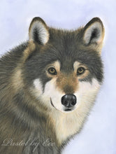 Load image into Gallery viewer, “Winter”
