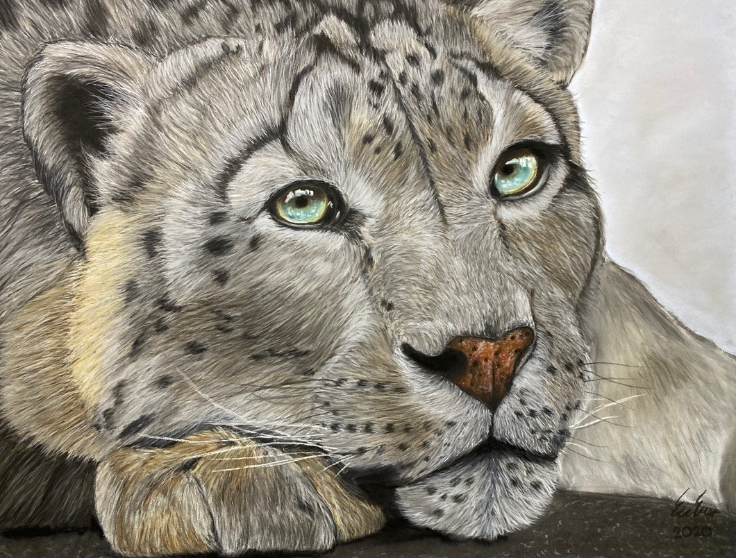 “Turquoise Gaze”