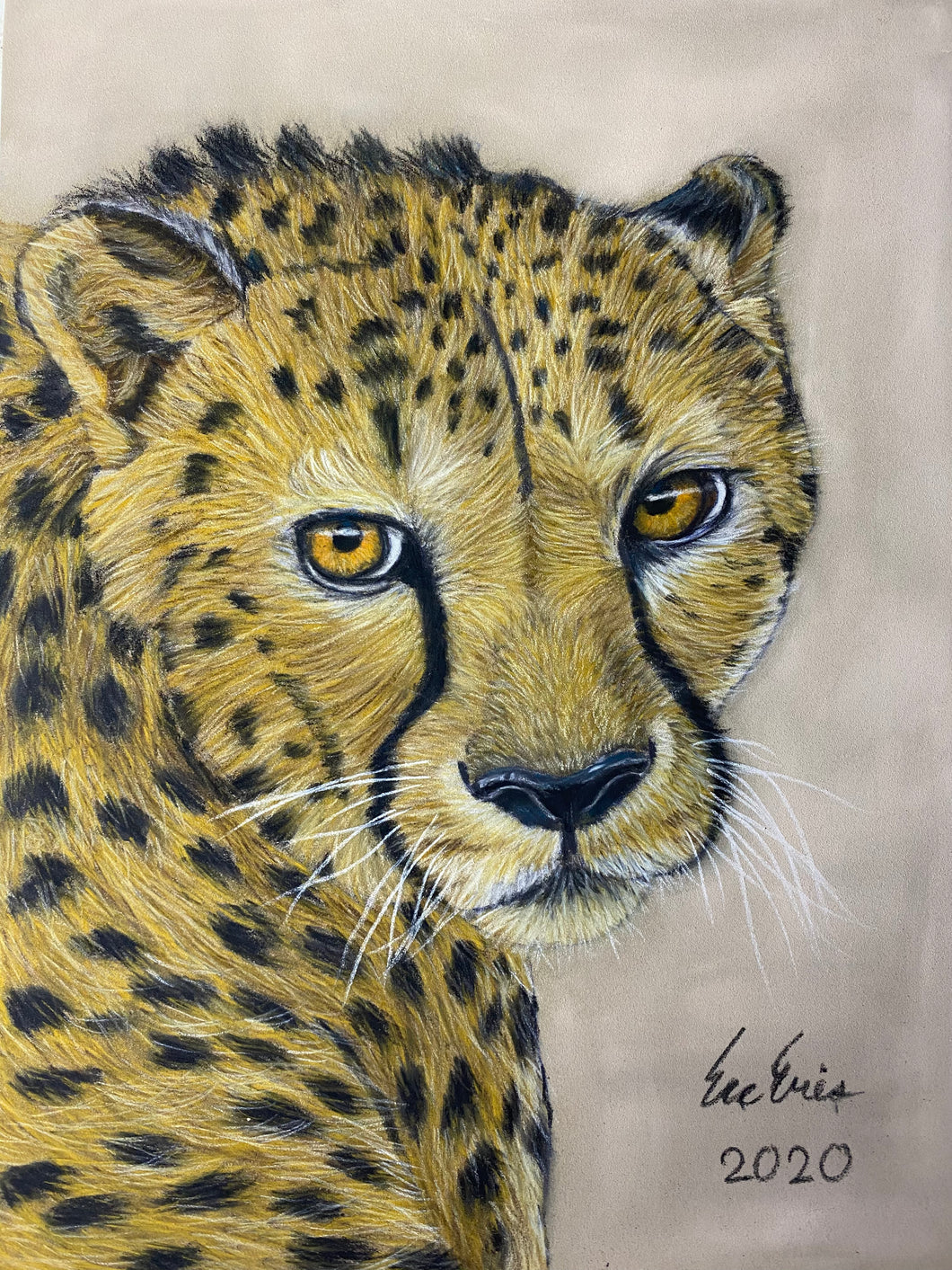 “Fire in Her Eyes”