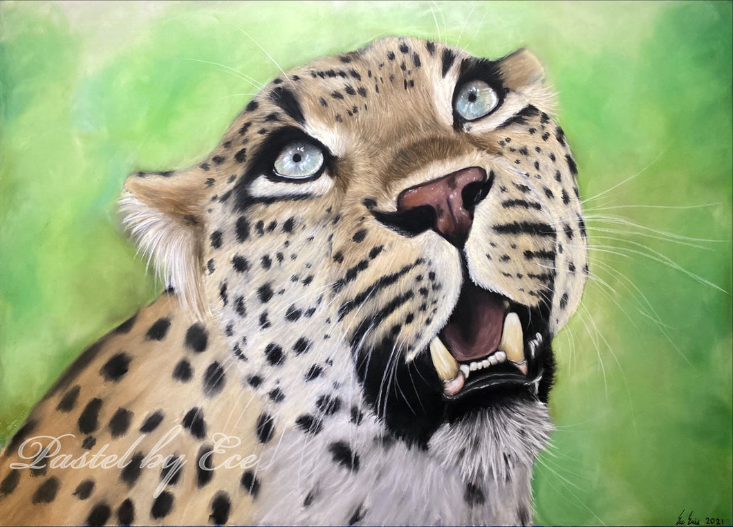 “Awestruck”