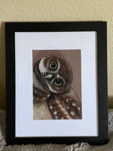Load image into Gallery viewer, “Owlet”
